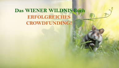 Erfolgreiches Crowdfunding